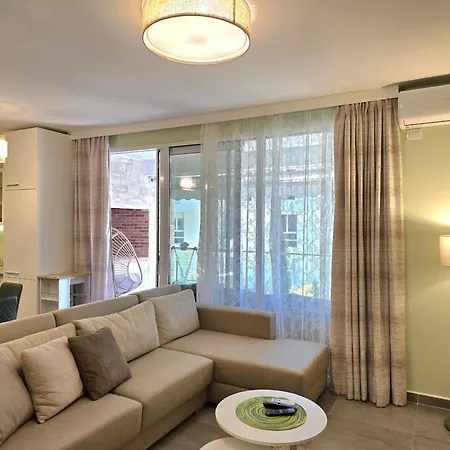 Olive Tree - 290 * Plazhi San Pietro