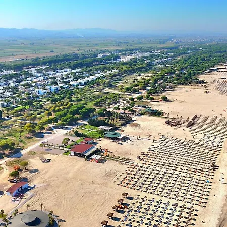 Olive Tree - 290 Plazhi San Pietro