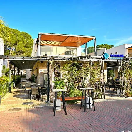 Daire Olive Tree - 290 *