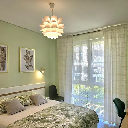 Olive Tree - 290 Plazhi San Pietro