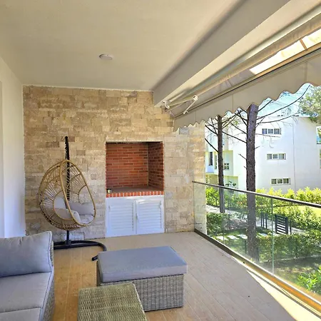 Olive Tree - 290