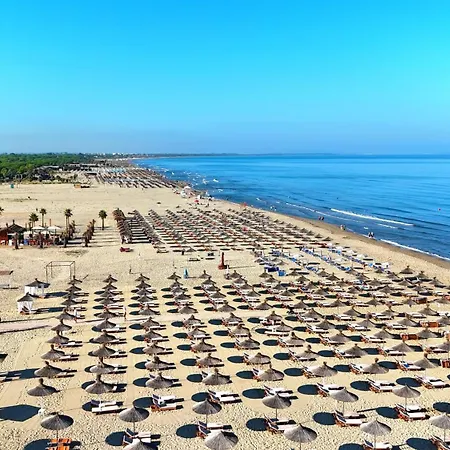 Olive Tree - 290 Apartment *