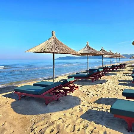 Olive Tree - 290 Plazhi San Pietro