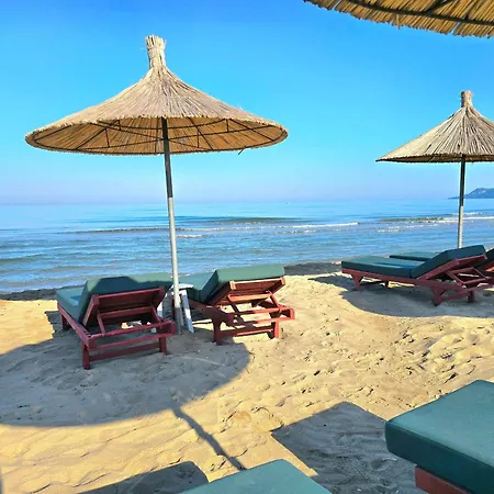 Olive Tree - 290 * Plazhi San Pietro