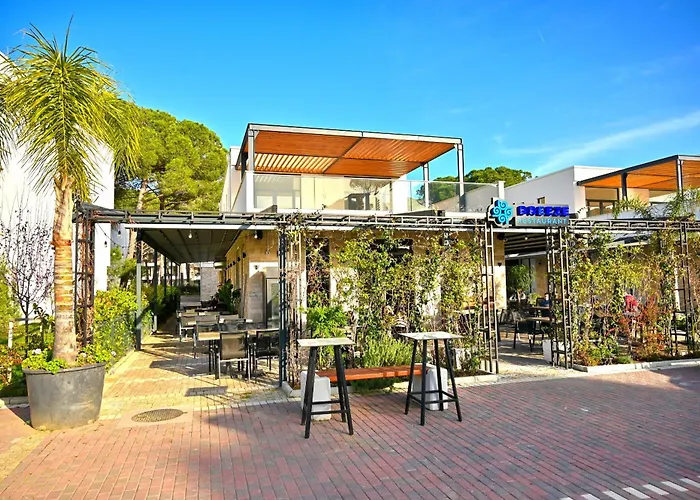 公寓 Olive Tree - 290 *