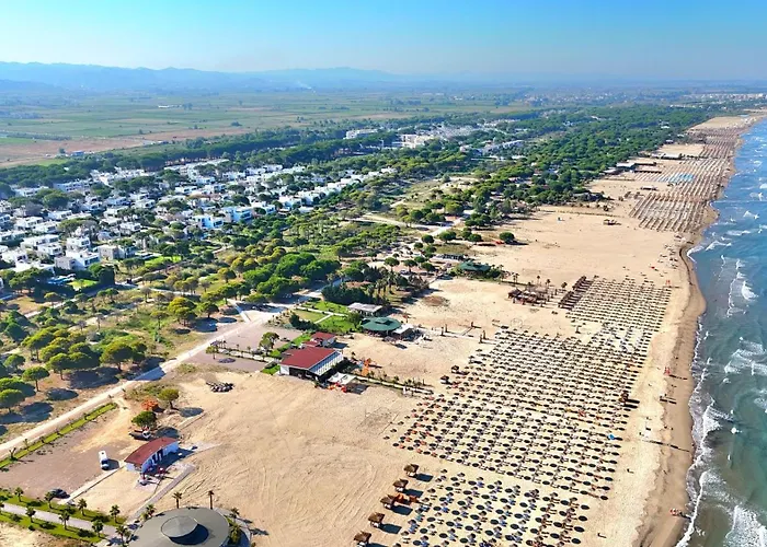 Olive Tree - 290 Plazhi San Pietro