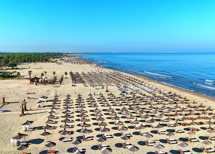 Olive Tree - 290 Apartment *