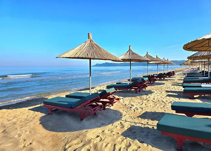 Olive Tree - 290 Plazhi San Pietro